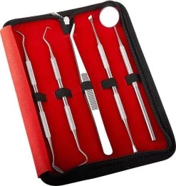 Newide Professionele Tandarts Set Met Luxe Etui – Tandsteen Verwijderaar – RVS Tandarts Setje – Tandenstokers – Tandartshaakje – Tand Verzorging Gereedschap Set – Tandplak Verwijderaar -Mondverzorging 1135x1200 2