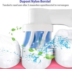 ARENO® 24 Universele Opzetborstels - Geschikt Voor Oral-B En Braun -Mondverzorging 1200x1145 1