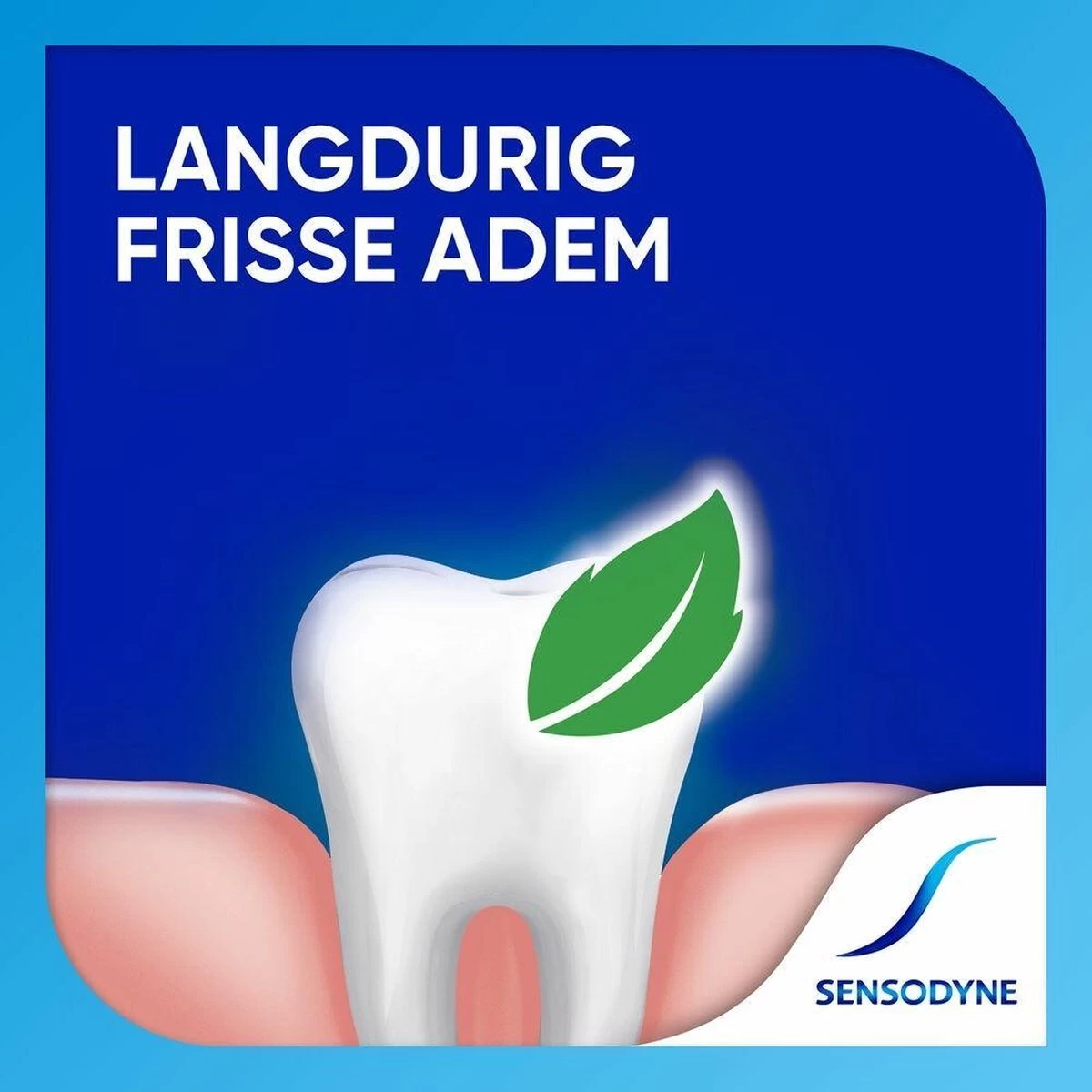 Sensodyne Freshmint Tandpasta Voor Gevoelige Tanden 2x 75 Ml 8 Sensodyne Freshmint Tandpasta Voor Gevoelige Tanden 2x 75 Ml - Afbeelding 6
