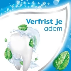 Aquafresh Freshmint - Tandpasta - Voor Een Frisse Adem - Voordeelverpakking - Recyclebare Plastic Tube En Dop -5 X 75ml 15 Aquafresh Freshmint - Tandpasta - Voor Een Frisse Adem - Voordeelverpakking - Recyclebare Plastic Tube En Dop -5 X 75ml -Mondverzorging 1200x1200 799
