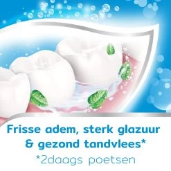 Aquafresh Freshmint - Tandpasta - Voor Een Frisse Adem - Voordeelverpakking - Recyclebare Plastic Tube En Dop -5 X 75ml 22 Aquafresh Freshmint - Tandpasta - Voor Een Frisse Adem - Voordeelverpakking - Recyclebare Plastic Tube En Dop -5 X 75ml -Mondverzorging 1200x1200 806
