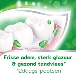 Aquafresh Anti Cariës Tandpasta Voor Gezonde Tanden, Voordeelverpakking 12- Pack, Recyclebare Plastic Tube En Dop 16 Aquafresh Anti Cariës Tandpasta Voor Gezonde Tanden, Voordeelverpakking 12- Pack, Recyclebare Plastic Tube En Dop -Mondverzorging 1200x1200 873