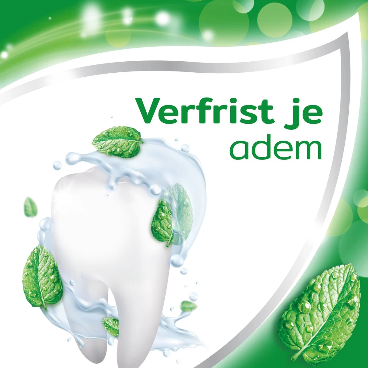 Aquafresh Anti Cariës Tandpasta Voor Gezonde Tanden, Voordeelverpakking 12- Pack, Recyclebare Plastic Tube En Dop 11 Aquafresh Anti Cariës Tandpasta Voor Gezonde Tanden, Voordeelverpakking 12- Pack, Recyclebare Plastic Tube En Dop - Afbeelding 9