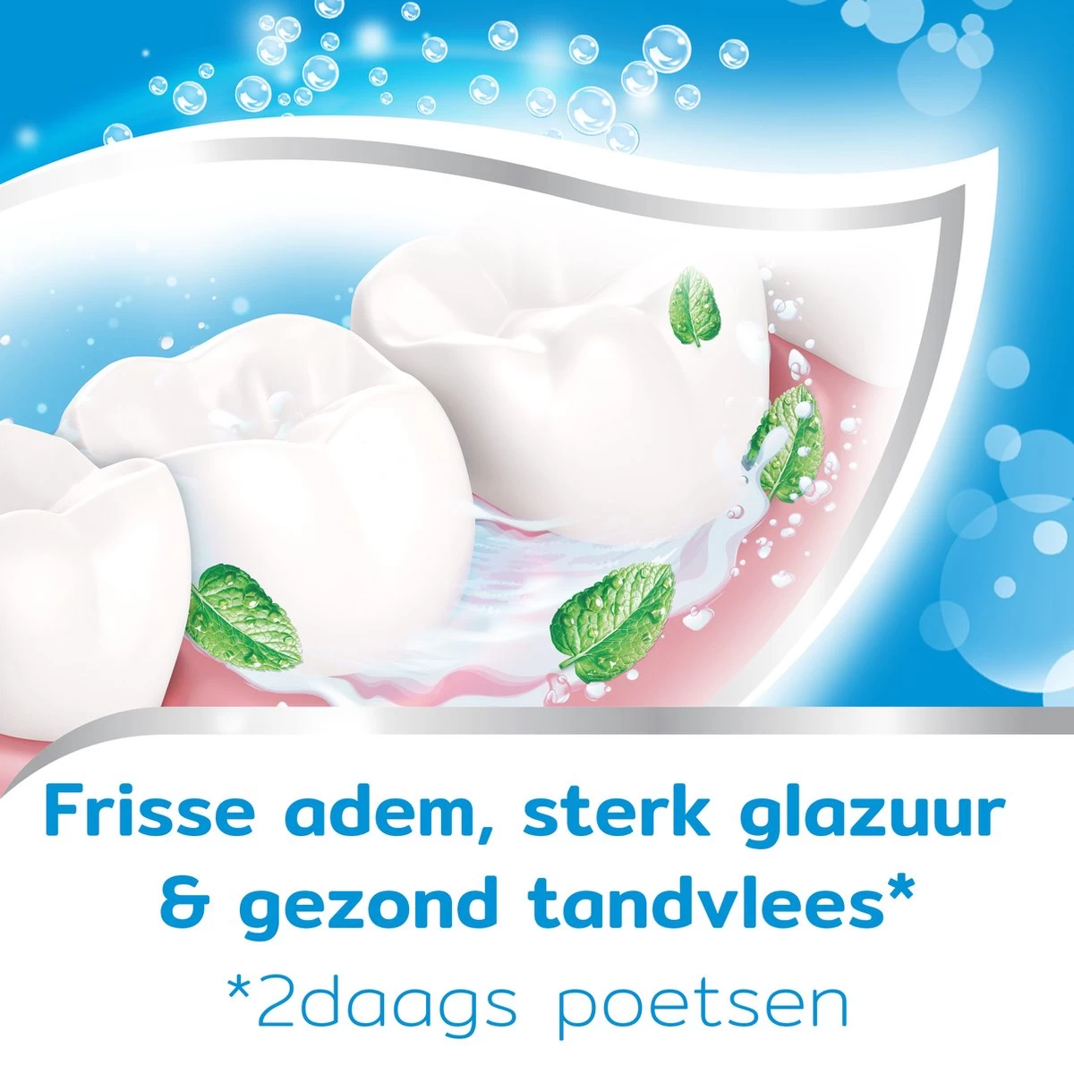 Aquafresh Freshmint 3in1 Tandpasta Voor Een Frisse Adem Voordeelverpakking 12x75ml, Recyclebare Plastic Tube En Dop 9 Aquafresh Freshmint 3in1 Tandpasta Voor Een Frisse Adem Voordeelverpakking 12x75ml, Recyclebare Plastic Tube En Dop - Afbeelding 7