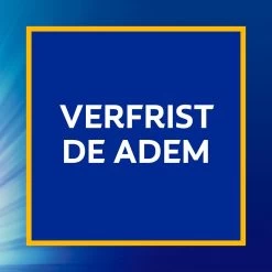 Colgate® Colgate Caries Protection Tandpasta - 6 X 75 Ml - Voordeelverpakking 13 Colgate® Colgate Caries Protection Tandpasta - 6 X 75 Ml - Voordeelverpakking -Mondverzorging 1200x1200 960