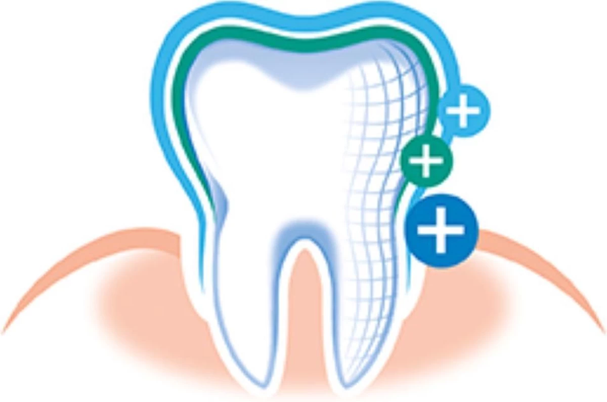 Elmex Tandpasta Sensitive 12 X 75ml - Voordeelverpakking 5 Elmex Tandpasta Sensitive 12 X 75ml - Voordeelverpakking - Afbeelding 3