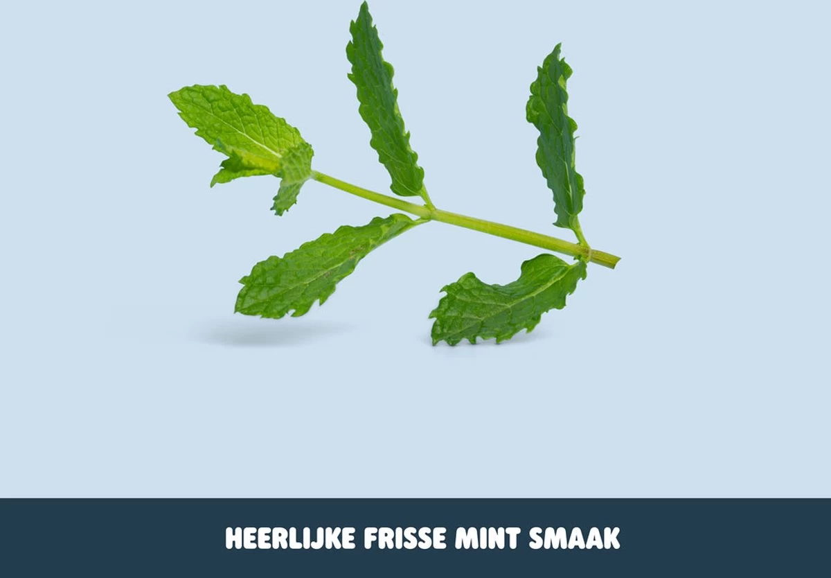 Smyle - Tandpasta Tabletten - Navulling - Met Fluoride - Tandpasta Tabs - 250 Stuk(s) - Plastic-vrij 4 Smyle - Tandpasta Tabletten - Navulling - Met Fluoride - Tandpasta Tabs - 250 Stuk(s) - Plastic-vrij - Afbeelding 2